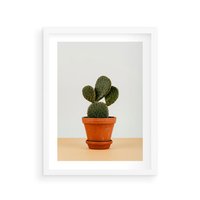 Plakat w ramie 50x70 - Kwiatowy taniec kaktusa - kaktus, kwiat - rama biała