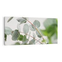 Obraz na płótnie 140x70 - Liście eukaliptusa w naturze - eukaliptus, liście