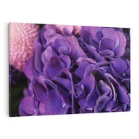 Obraz na płótnie 100x70 - Fioletowa hortensja - kwiaty, hortensja