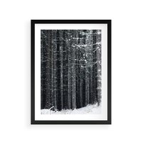 Plakat w ramie 30x40 - Leśna Cisza: Malowniczy Pejzaż Zimą - las zimą, ośnieżone pnie drzew - rama czarna