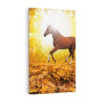 Obraz na płótnie 80x120 - Moc konia w zachodzie słońca - koń, słońce