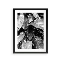Plakat w ramie 40x50 - Liście w Czarno-Białej Fotografii - liście, roślina - rama czarna
