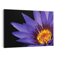 Obraz na płótnie 100x70 - Kwiatowa harmonia: Piękno natury - kwiat, kwiaty