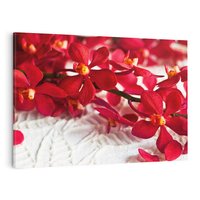 Obraz na płótnie 70x50 - Delikatność Kwiatowej Elegancji - orchidea, kwiat