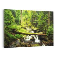 Obraz na płótnie 120x80 - Magiczny Strumień w Lesie - strumień, las