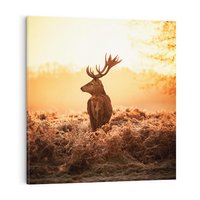 Obraz na płótnie 40x40 - Magia jesiennego słońca: Jeleń w promieniach - jeleń, jesień