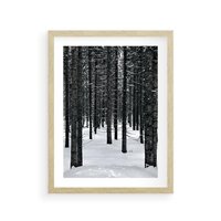 Plakat w ramie 40x50 - Zimowe Drzewa: Śnieg na Pniach - drzew w zimi, pnie drzew - rama drewno