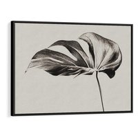 Obraz w ramie 70x50 - Szepczący Liść - szkic, czarno biały - rama czarna