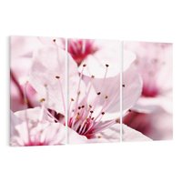 Obraz na płótnie 120x80 - Kwitnąca Wiśnia - kwiaty, kwitnąca