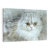 Obraz na płótnie 70x50 - Zwierzęca abstrakcja: Kot - kot, zwierzę