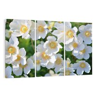 Obraz na płótnie 120x80 - Kwiatowy Raj - kwiat, kwiaty