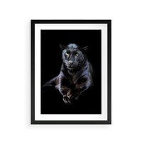 Plakat w ramie 30x40 - Czarna pantera: majestat i siła - czarna, pantera - rama czarna