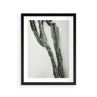 Plakat w ramie 50x70 - Zielona Roślina z Liśćmi - zielona roślina, liście - rama czarna