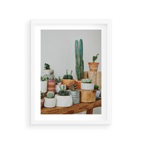 Plakat w ramie 40x50 - Kaktusowa Galeria w Doniczkach - kaktusy w doniczkach, fotografia - rama biała