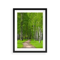 Plakat w ramie 40x50 - Spacer Ścieżką w Urokliwym Lesie - las, ścieżka - rama czarna