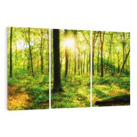 Obraz na płótnie 120x80 - Mistyfikujący las - las, drzewa