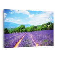 Obraz na płótnie 120x80 - Prowansalska Lawenda - lawenda, prowansja