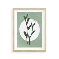 Plakat w ramie 30x40 - Kształty Zielonego Ukojenia - zielony plakat, roślinne motywy - rama drewno
