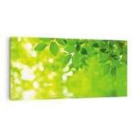 Obraz na płótnie 120x60 - Liście w Wodzie - liście, woda