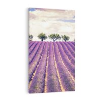 Obraz na płótnie 80x120 - Uroda Lawendy: Kwiatowy Cud Natury - lawenda, kwiaty