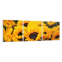 Obraz na płótnie 150x50 - promień słoneczny w kwiatowym świecie - słoneczniki, kwiat