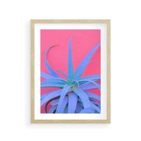 Plakat w ramie 40x50 - Piękno Pustyni - kaktusy, liście - rama drewno