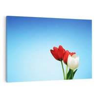 Obraz na płótnie 100x70 - Tulipanowy zachwyt - tulipany, kwiaty