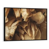 Obraz w ramie 70x50 - Zjawiskowe zasuszone kwiaty - zasuszone, kwiaty - rama czarna