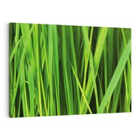 Obraz na płótnie 120x80 - Trawa w abstrakcji: natura przekształcona - trawa, abstrakcja