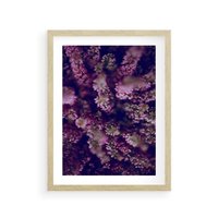 Plakat w ramie 40x50 - Wrzosowa Delikatność - wrzosy, kwiaty - rama drewno