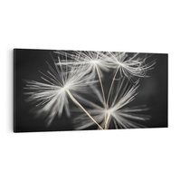 Obraz na płótnie 100x50 - Delikatność dmuchawców zbliżenie - dmuchawce, zbliżenie