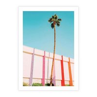 Plakat bez ramy 50x70 - Tropikalny Kontrast - palma na tle błękitnego nieba, kolorowy mur