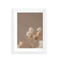 Plakat w ramie 40x50 - Przezroczyste piękno - gipsówka, suche - rama biała