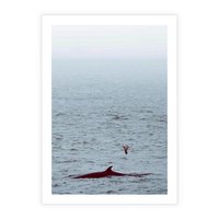 Plakat bez ramy 40x50 - Spotkanie z Orką - morze, ocean