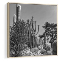 Obraz w ramie 50x50 - Pustynny Klimat - czarno białe zdjecie, pustynia - rama drewno