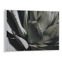 Obraz w ramie 70x50 - Sukulenty wśród kaktusów - sukulenty, kaktusy - rama biała