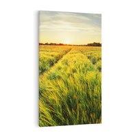 Obraz na płótnie 50x70 - Idylliczna łąka - łąka, natura