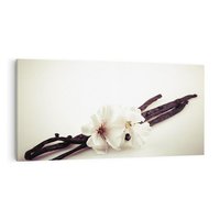 Obraz na płótnie 120x60 - Czuła delikatność wanilii - wanilia, kwiaty