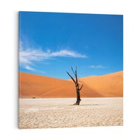 Obraz na płótnie 30x30 - Słońce i Suche Drzewo - pustynia, suche