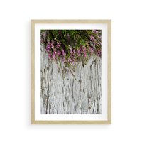 Plakat w ramie 30x40 - Fioletowe Wrzosy - wrzosy, fiolet - rama drewno