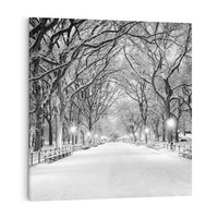 Obraz na płótnie 80x80 - cisza wśród drzew - zima, park