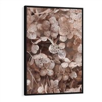 Obraz w ramie 70x100 - Przemijająca Piękność - fotografia, zbliżenie - rama czarna