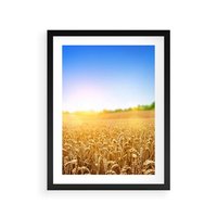 Plakat w ramie 40x50 - Żyzne Pola - pole, pszenicy - rama czarna