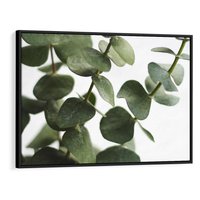 Obraz w ramie 70x50 - Zielone eukaliptusy - eukaliptus, liście - rama czarna