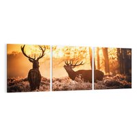 Obraz na płótnie 90x30 - Jeleń w lesie: Spotkanie w dziczy - jeleń, jelenie