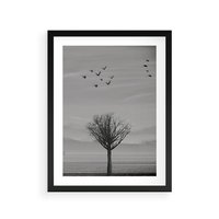 Plakat w ramie 50x70 - Samotne Drzewo - samotne drzewo w polu, czarno białe zdjęcie - rama czarna