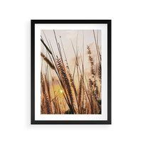 Plakat w ramie 50x70 - Malownicza Łąka z Trawam - trawy, łąka - rama czarna