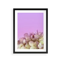 Plakat w ramie 50x70 - Kwiatowa Uroda - kwiaty, hortensje - rama czarna