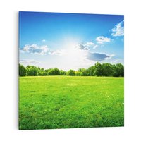 Obraz na płótnie 40x40 - Idylla na łące drzew - łąka, drzewa