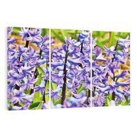 Obraz na płótnie 120x80 - Kwiatowy wibrant piękno natury - kwiat, kwiaty